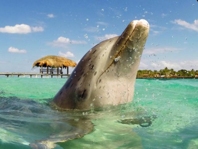 Fishing & Marina 2* Conch Key